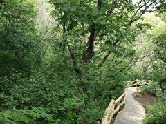 -棋盘山风景区