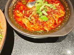 -华豫川酒家(金水路店)