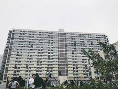 -彩虹村