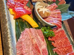 -炼火烤肉店