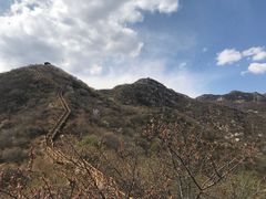 -大岭沟猕猴桃谷风景区