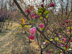 -白塘生态植物园