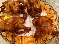 招牌红烧乳鸽16.8元/只-有腥气私房菜·寻味顺德