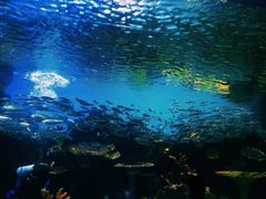 -华夏文旅海洋公园