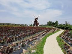 -北纬44度·金珠花海休闲农业旅游景区