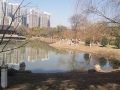 -堤角公园