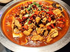 -美蛙四季(黄寺大街店)