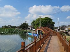 -莲花岛景区
