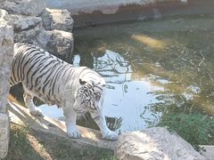 -石家庄市动物园