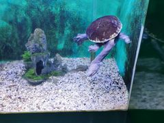 -常州海昌海洋探索馆