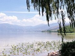 -西昌邛海湿地