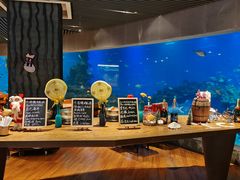 -海棠湾洲际-涛·海底餐厅·美人鱼·自助餐·海底隧道