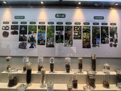 -广东中医药博物馆
