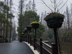 -东平国家森林公园