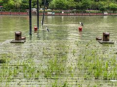 -苏州河梦清园环保主题公园