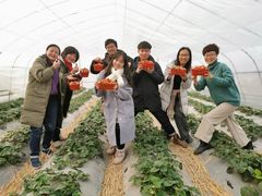 -上海长兴岛郊野公园