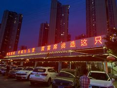 -鹅城