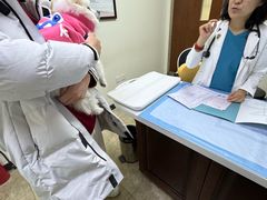 -美联众合动物医院·24h转诊中心