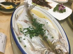 清蒸鲜白鱼-锡和无锡菜(景丽苑店)