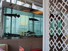 -衡山汇·高级粤菜(霄云路店)