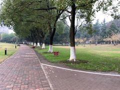 -中央公园(苏州工业园区)