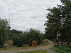 -长春公园(普阳街道)