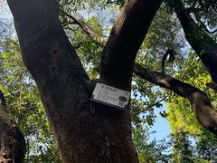 -云溪植物园