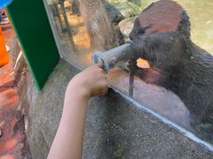 -杭州野生动物世界