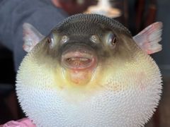 -永安鱼庄·镇江菜(东吴路店)