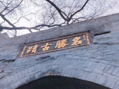 -大槐树寻根祭祖园