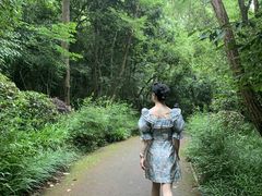 -紫金山山顶公园
