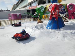 -沈阳奥体冰雪嘉年华