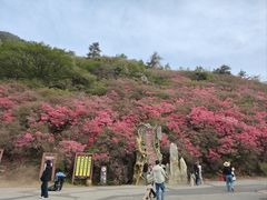 -木兰云雾山