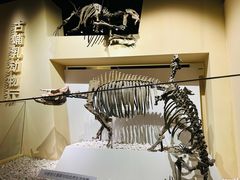 -国家自然博物馆