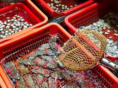 -巽寮印象美食部落餐厅·海鲜·地方特色菜(惠州体验店)