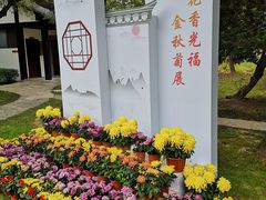 -司徒庙