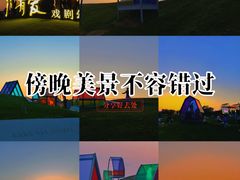 -荷兰花海