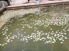 -郑州银基黄帝宫御温泉