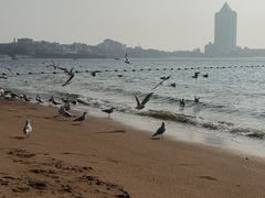 -青岛第三海水浴场