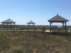 -呼兰河口湿地公园