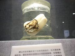 -唐山抗震纪念馆