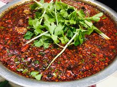 -温江公平红烧兔(总店)