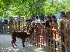 -西安秦岭野生动物园