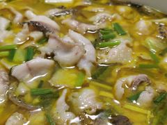 酸菜鱼-周正水煮活鱼·吊水鱼(万科店)