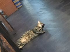 -意成料理