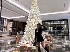 -海口喜来登酒店