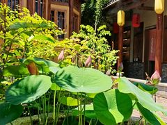 -小隐院子·庭院餐厅(大学城后湖店)