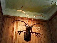 大堂-新白鹿餐厅(城西银泰城店)