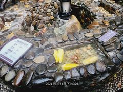 -宜春明月山维景国际温泉度假酒店
