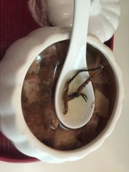 -生命加•Q考拉月子会所(玫瑰园店)